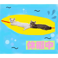 [LINEスタンプ] 仲良し兄弟の1日♡2