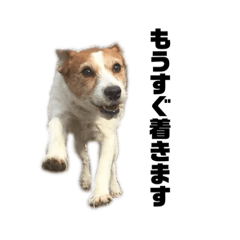 [LINEスタンプ] クレアとさく