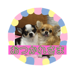 [LINEスタンプ] くるみいる