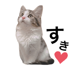 [LINEスタンプ] ノアさんの日常①