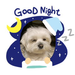 [LINEスタンプ] ももです❣️No2