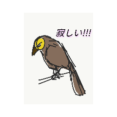 [LINEスタンプ] ブラウニー鳥