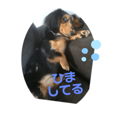 [LINEスタンプ] ふぁなくん