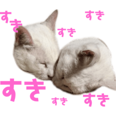 [LINEスタンプ] 気まぐれにゃあ子