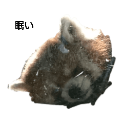 [LINEスタンプ] 動物スタンプ               笑える 可愛い