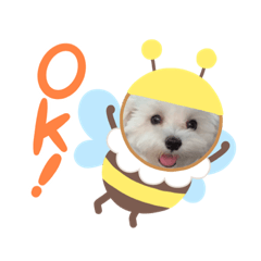 [LINEスタンプ] ちゅらとちわ。