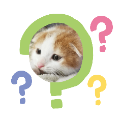[LINEスタンプ] チワワとスコティッシュ君