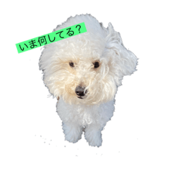 [LINEスタンプ] 可愛いめるちゃん  第2弾