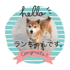 [LINEスタンプ] megumogmog