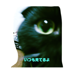 [LINEスタンプ] ポンちゃんのあいさつ