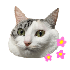 [LINEスタンプ] ♡ ume stamp ♡ 2