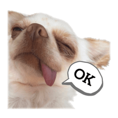 [LINEスタンプ] URUスタンプ