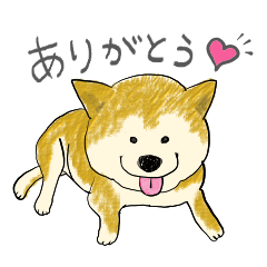 [LINEスタンプ] 幸せな柴犬との日常