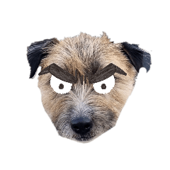[LINEスタンプ] angry dogs 20200503