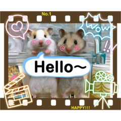[LINEスタンプ] まゅはむファミリー♡