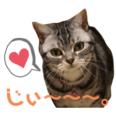 [LINEスタンプ] きゃわいいキキちゃん！