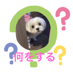 [LINEスタンプ] 雪子でーす Vol.2