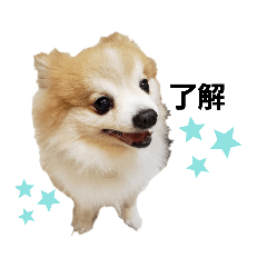 [LINEスタンプ] 毛むくじゃら達4♡