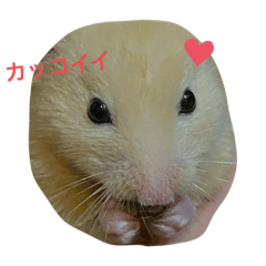 [LINEスタンプ] だいすきピー乃助one