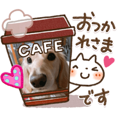 [LINEスタンプ] ベル×チョコ
