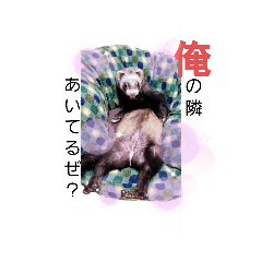 [LINEスタンプ] フェレット ふぅ太の日常