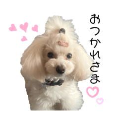 [LINEスタンプ] おぼろとその仲間たちの日常