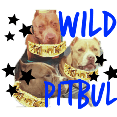[LINEスタンプ] wild Pitbul 1