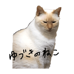 [LINEスタンプ] ゆづきのねこ