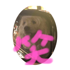 [LINEスタンプ] 適当なことば