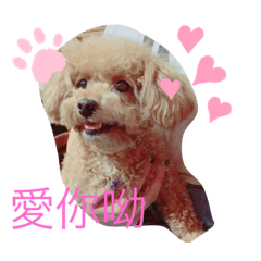 [LINEスタンプ] 美美超可愛