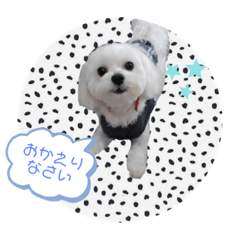 [LINEスタンプ] 太郎くんの日常