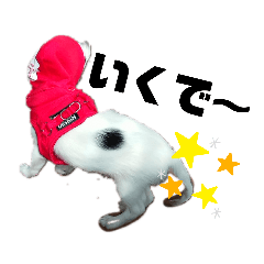 [LINEスタンプ] SOBORO！！
