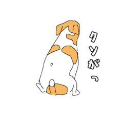 [LINEスタンプ] JRT  ジャックラッセルテリアのうちの子2
