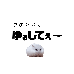 [LINEスタンプ] ハムすたんぷ No.1