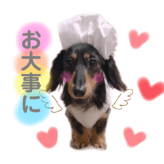 [LINEスタンプ] ダックスのウィルちゃん