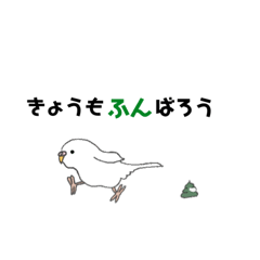 [LINEスタンプ] インコ⭐️オウムクラブ