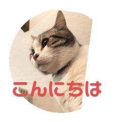 [LINEスタンプ] 球あいさつ2