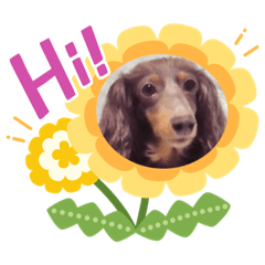 [LINEスタンプ] くるみ＆あんず