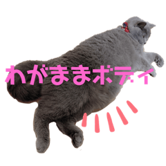 [LINEスタンプ] lucca.co.jp