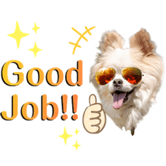 [LINEスタンプ] のめしこきチワワ3