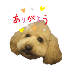 [LINEスタンプ] くぅと陸のスタンプ❶