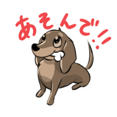 [LINEスタンプ] チョコタンダックスのスタンプ