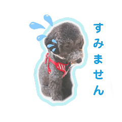 [LINEスタンプ] ぼく、ジルベール(敬語ver)