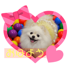 [LINEスタンプ] みみちゃんのスタンプ4