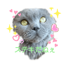 [LINEスタンプ] ルイとコーラ