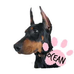 [LINEスタンプ] ocean＆tono
