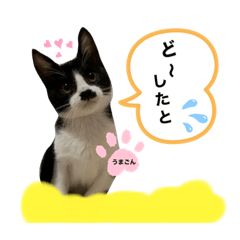 [LINEスタンプ] うまごんとぶんた☆日常