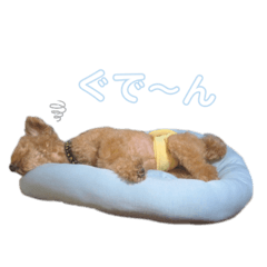 [LINEスタンプ] テンとクレオ