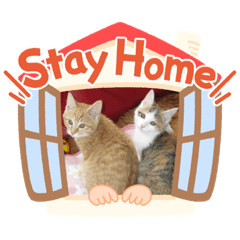 [LINEスタンプ] 寝るのが仕事にゃ
