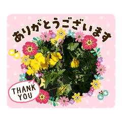 [LINEスタンプ] 美味しいお花スタンプ